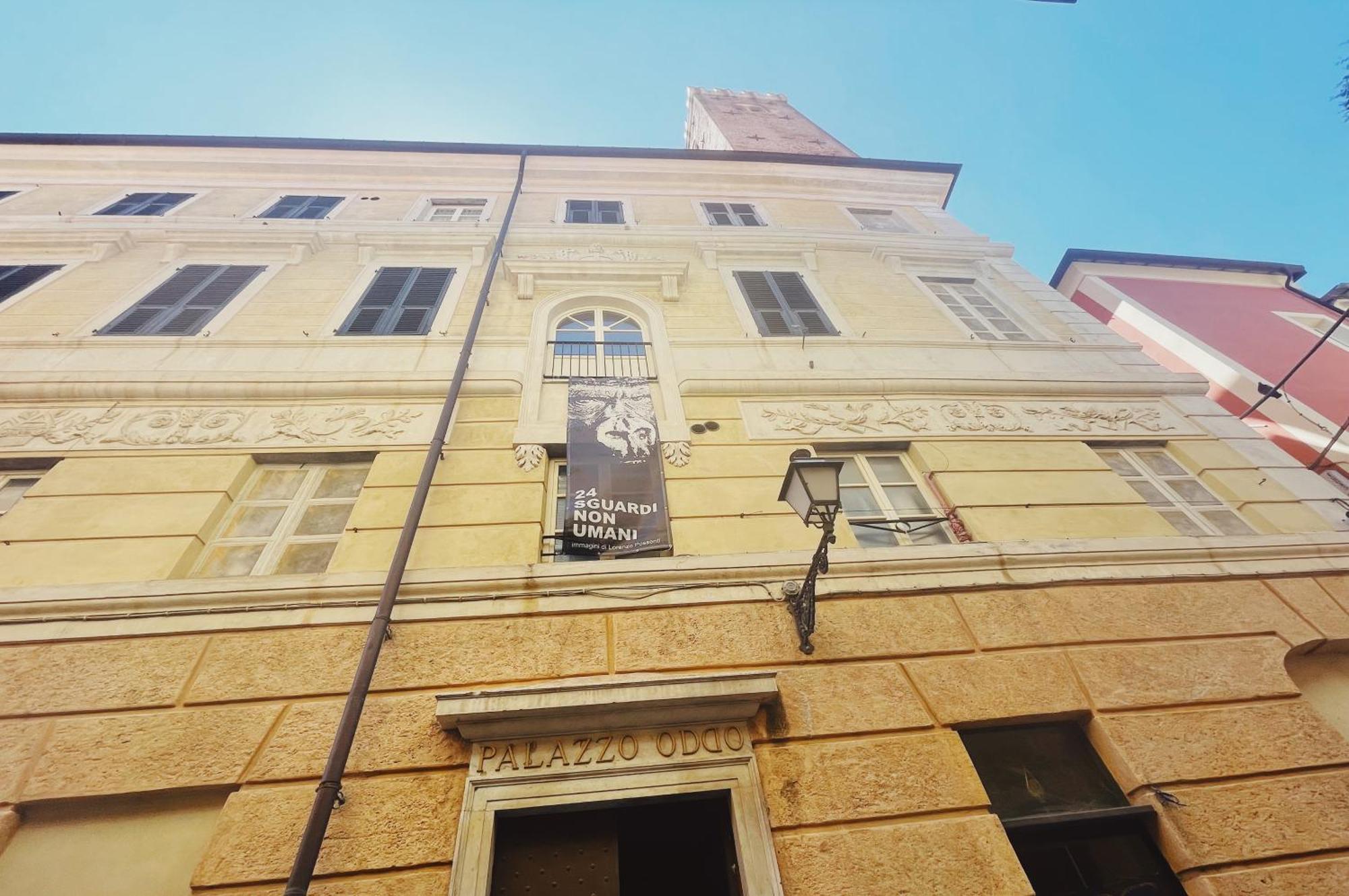 Palazzo Oddo Rental Rooms Albenga Exteriér fotografie